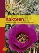 Kakteen