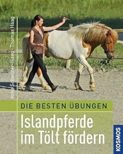 Beste Übungen: Islandpferde im Tölt fördern