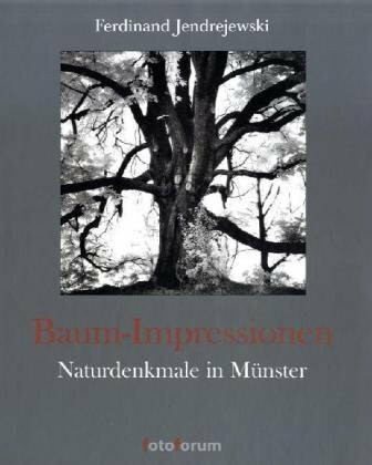 Baum-Impressionen: Naturdenkmale in Münster