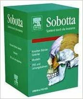 Sobotta Lernkarten - Spielend durch die Anatomie