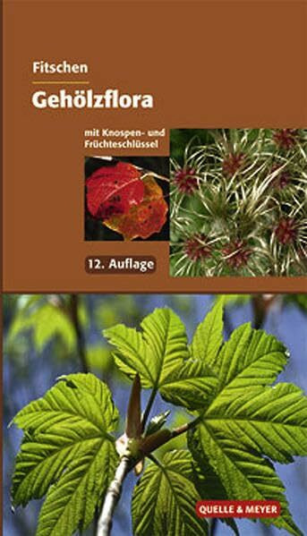 Fitschen - Gehölzflora: Ein Buch zum Bestimmen der in Mitteleuropa wild wachsenden und angepflanzten Bäume und Sträucher. Mit Knospen- und Früchteschlüssel