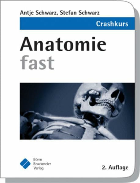 Anatomie fast (fasts)