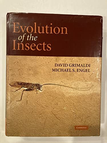 Evolution of the Insects (Cambridge Evolution Series)