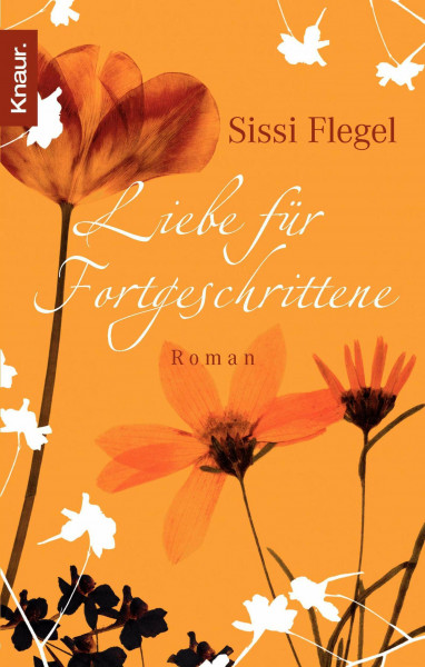 Liebe für Fortgeschrittene: Roman