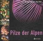 Pilze der Alpen