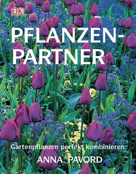 Pflanzenpartner: Gartenpflanzen perfekt kombinieren