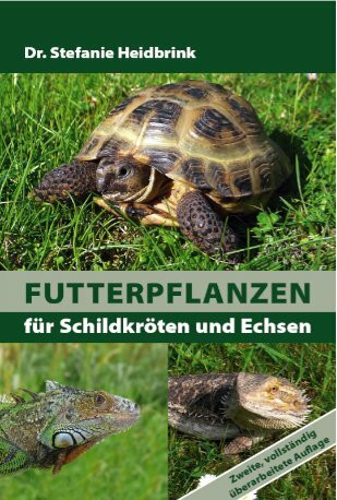 Futterpflanzen für Schildkröten und Echsen