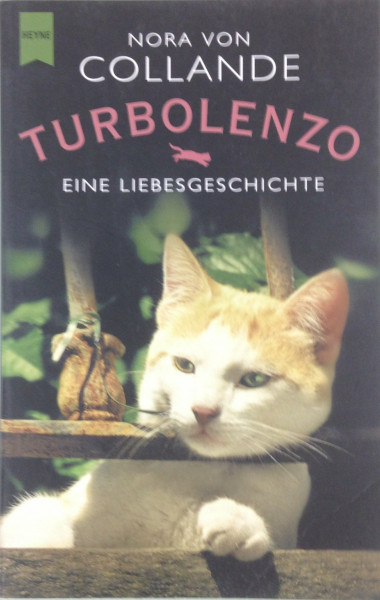 Turbolenzo: Eine Liebesgeschichte