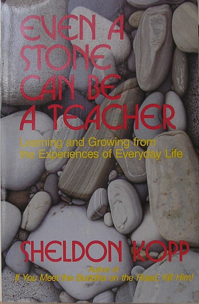 Even a Stone Can Be a Teacher: Learning and Growing from the Experiences of Everyday Life: Learning and Growing from the Experience of Everyday Life