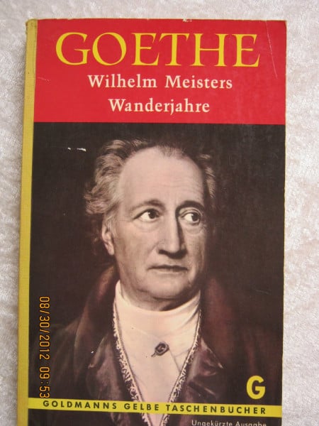 Wilhelm Meisters Wanderjahre oder die Entsagenden: Oder die Entsagenden. Nachw. v. Adolf Muschg (insel taschenbuch)