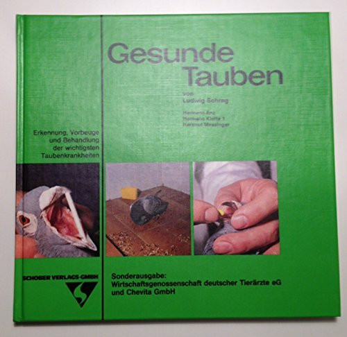 Gesunde Tauben