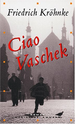 Ciao Vaschek: Roman
