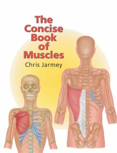 The Concise Book of Muscles