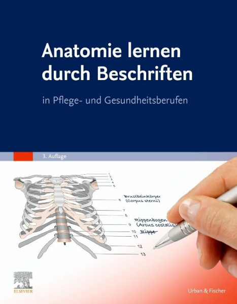 Anatomie lernen durch Beschriften: in Pflege- und Gesundheitsberufen