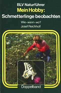 Mein Hobby: Schmetterlinge beobachten. Wie, wann, wo?