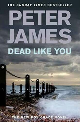 Dead Like You: The New Roy Grace Novel