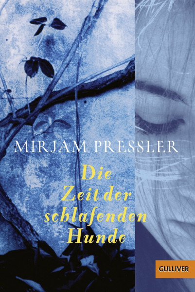 Die Zeit der schlafenden Hunde: Roman (Gulliver)