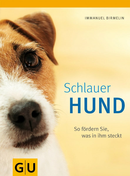 Schlauer Hund. So fördern Sie, was in ihm steckt