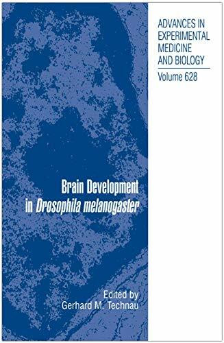 Brain Development in Drosophila melanogaster (Advances in Experimental Medicine and Biology, 628, Band 628)