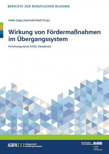 Wirkung von Fördermaßnahmen im Übergangssystem