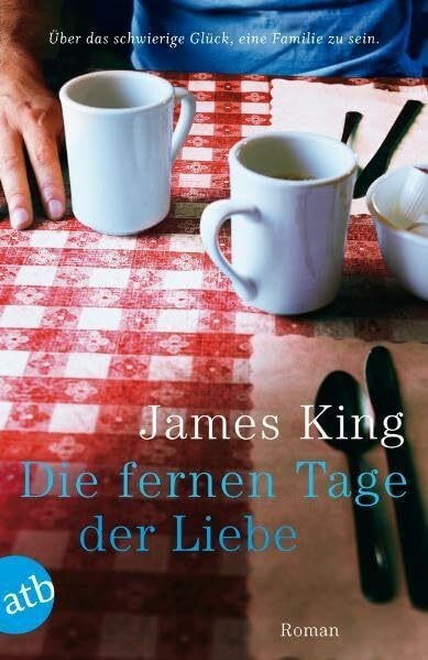 Die fernen Tage der Liebe: Roman