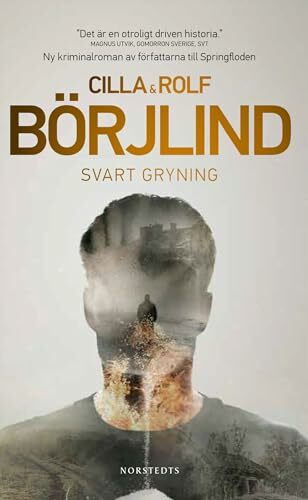 Svart gryning (Rönning/Stilton, Band 3)