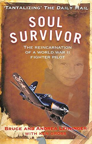 Hay House Uk Ltd Soul Survivor, The Reincarnation Of A World War Ii Fighter Pilot