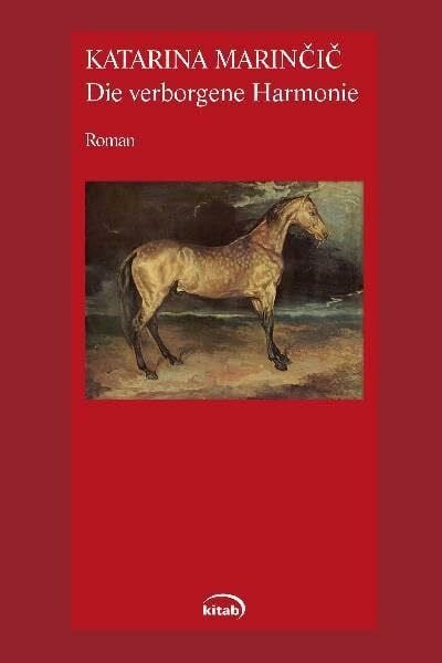 Die verborgene Harmonie: Roman