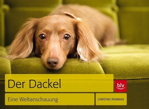 Der Dackel