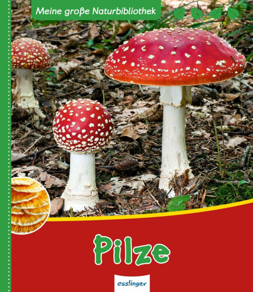 Pilze (Meine große Naturbibliothek)