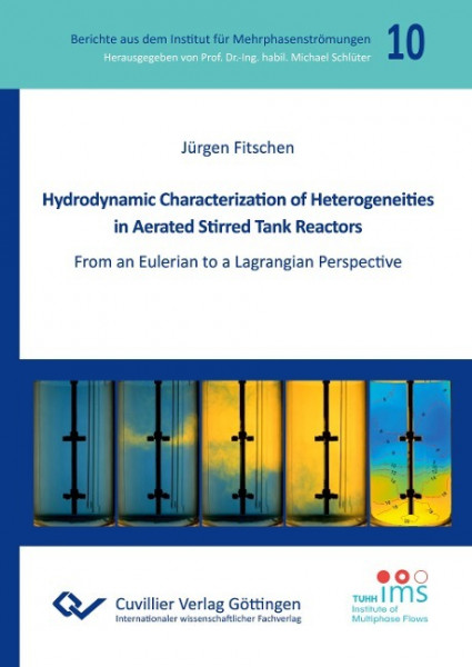 Hydrodynamic Characterization of Heterogeneities in Aerated Stirred Tank Reactors. From an Eulerian to a Lagrangian Perspective