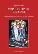 Meine Freunde, die Sinne: Das spirituelle Leben als Integration von Geist und Körper