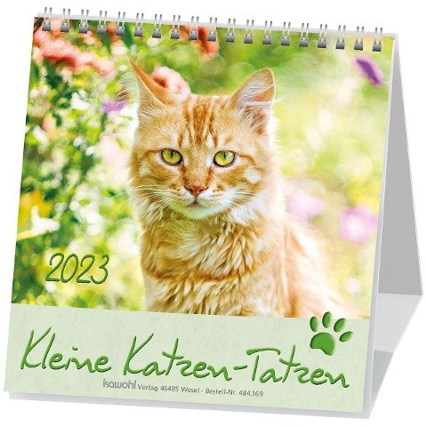 Kleine Katzen-Tatzen 2023