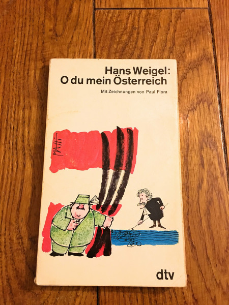 O du mein Österreich: Versuch des Fragments einer Improvisation (dtv Literatur)