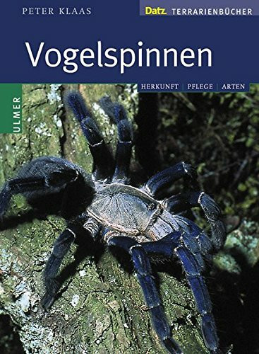 Vogelspinnen im Terrarium