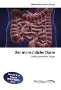 Der menschliche Darm
