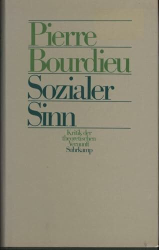 Sozialer Sinn. Kritik der theoretischen Vernunft