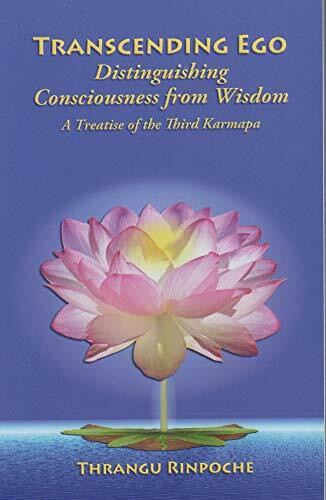Transcending Ego: Distinguishing Consciousness From Wisdom