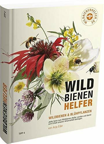 WILDBIENENHELFER: Wildbienen & Blühpflanzen