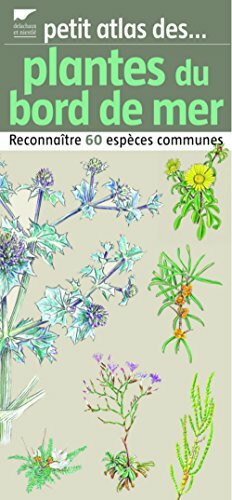 Plantes du bord de mer: Reconnaître 60 espèces communes