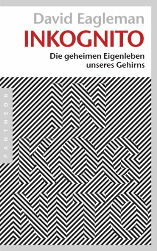 Inkognito: Die geheimen Eigenleben unseres Gehirns
