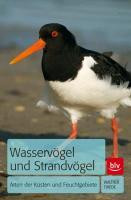 Wasservögel und Strandvögel