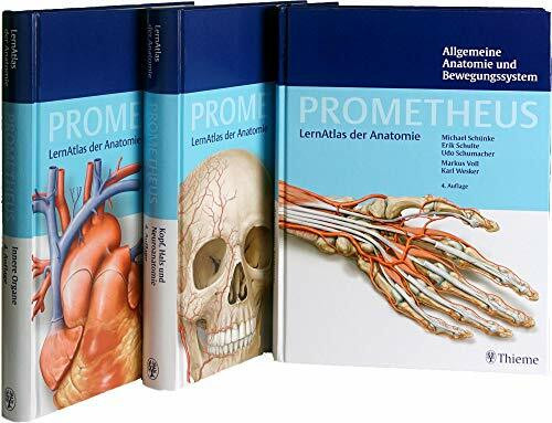 PROMETHEUS LernPaket Anatomie: LernAtlas Anatomie