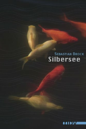 Silbersee: Roman