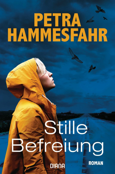 Stille Befreiung: Roman
