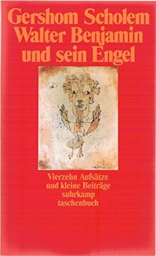 Walter Benjamin und sein Engel: Vierzehn Aufsätze und kleine Beiträge