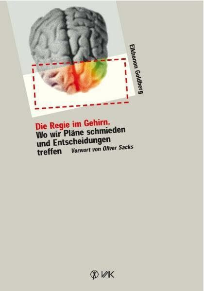 Die Regie im Gehirn: Wo wir Pläne schmieden und Entscheidungen treffen