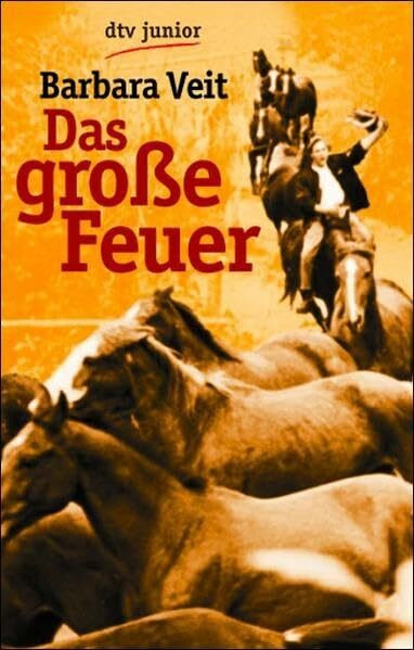 Das große Feuer (dtv junior)