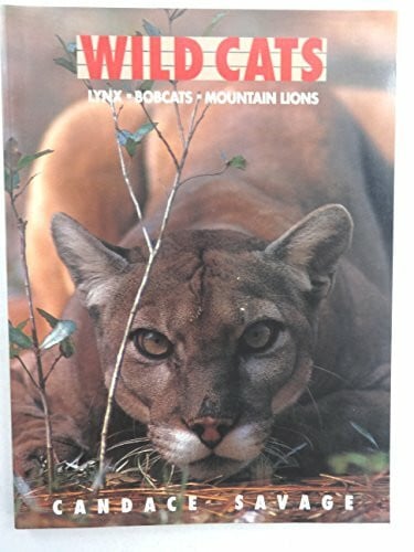 Wild Cats: Lynx, Bobcats, Mountain Lions