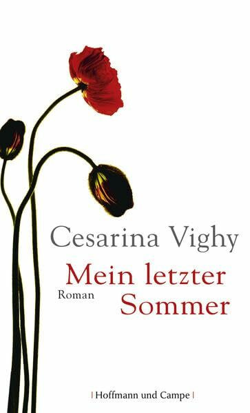 Mein letzter Sommer